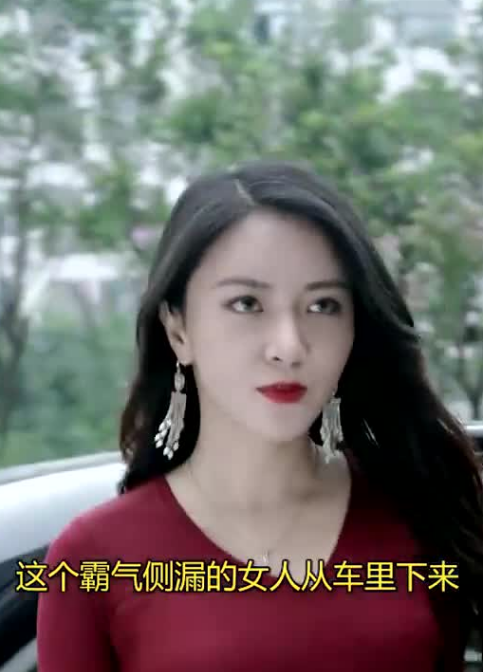 女總裁的貼身醫(yī)仙(全集)