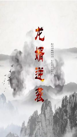 龍婿逆襲(全集)